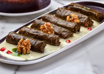 14- Special Vine Leaves